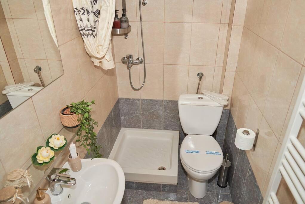 Appartement Modern Florina